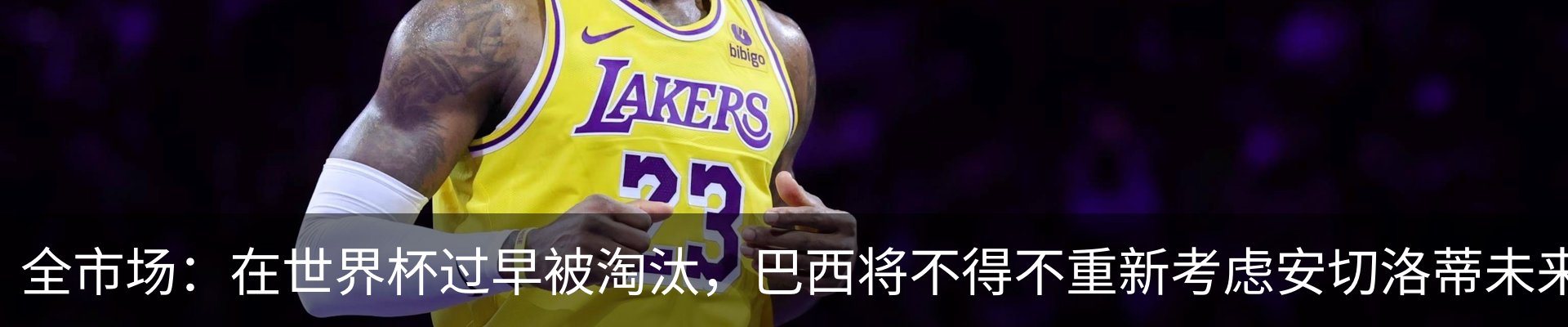 最新动态