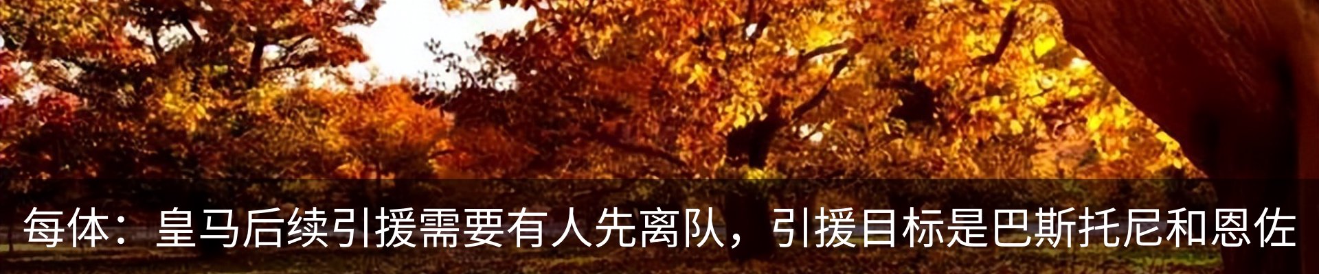 最新动态